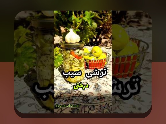 آشنایی کامل با سیب ترش: رازهای جذاب و کاربردهای سایت شرط بندی